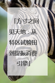 方寸之间见天地：从特区试验田到提振消费引擎