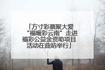 方寸彩票聚大爱 “福暖彩云南”走进福彩公益金资助项目活动在曲靖举行