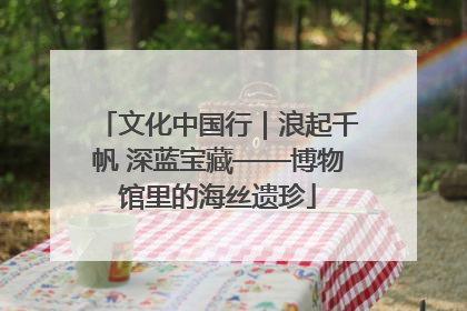 文化中国行｜浪起千帆 深蓝宝藏——博物馆里的海丝遗珍