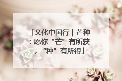 文化中国行｜芒种：愿你“芒”有所获，“种”有所得