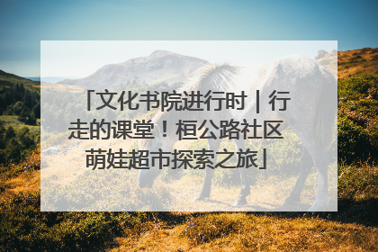 文化书院进行时｜行走的课堂！桓公路社区萌娃超市探索之旅