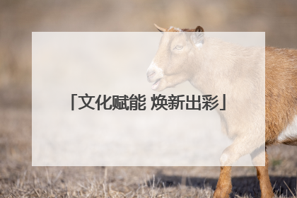 文化赋能 焕新出彩