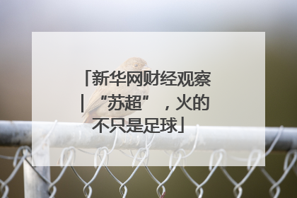 新华网财经观察｜“苏超”，火的不只是足球