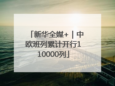 新华全媒+｜中欧班列累计开行110000列