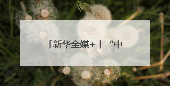 新华全媒+丨“中原粮仓”麦收过半