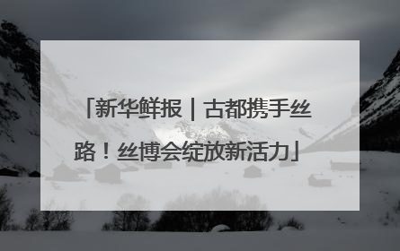 新华鲜报｜古都携手丝路！丝博会绽放新活力