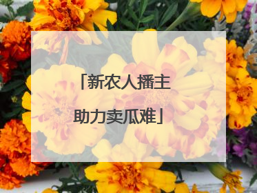 新农人播主 助力卖瓜难