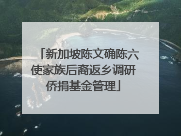 新加坡陈文确陈六使家族后裔返乡调研侨捐基金管理