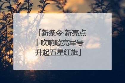 新条令·新亮点丨吹响嘹亮军号 升起五星红旗