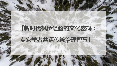 新时代枫桥经验的文化密码：专家学者共话传统治理智慧