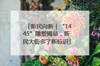 新民向新｜“1445”雕塑揭幕，新民大街多了新标识
