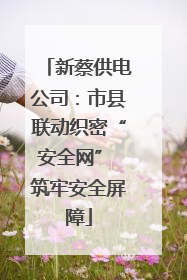 新蔡供电公司：市县联动织密“安全网” 筑牢安全屏障