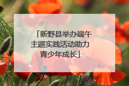 新野县举办端午主题实践活动助力青少年成长