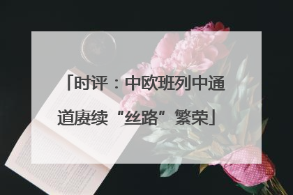 时评：中欧班列中通道赓续“丝路”繁荣