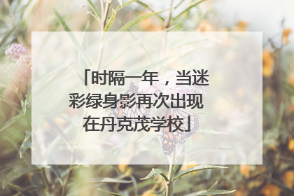 时隔一年，当迷彩绿身影再次出现在丹克茂学校