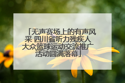 无声赛场上的有声风采 四川省听力残疾人大众篮球运动交流推广活动圆满落幕