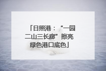日照港：“一园二山三长廊”擦亮绿色港口底色