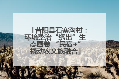 昔阳县石寨沟村：环境整治“绣出”生态画卷 “民宿+”撬动农文旅融合