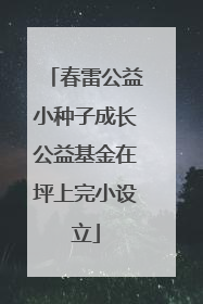 春雷公益小种子成长公益基金在坪上完小设立