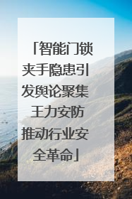 智能门锁夹手隐患引发舆论聚集 王力安防推动行业安全革命