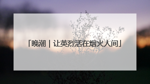 晚潮｜让英烈活在烟火人间