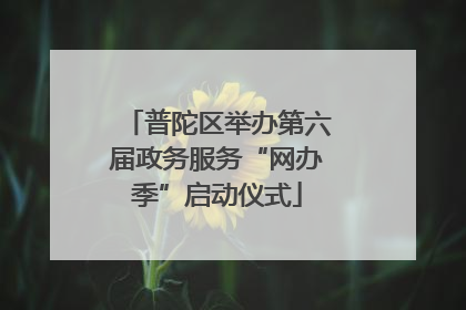 普陀区举办第六届政务服务“网办季”启动仪式