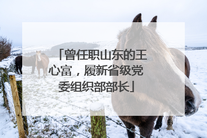 曾任职山东的王心富，履新省级党委组织部部长