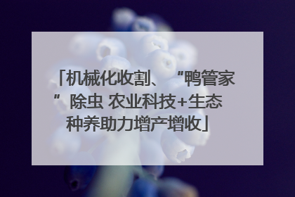 机械化收割、“鸭管家”除虫 农业科技+生态种养助力增产增收