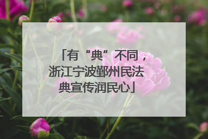 有“典”不同，浙江宁波鄞州民法典宣传润民心