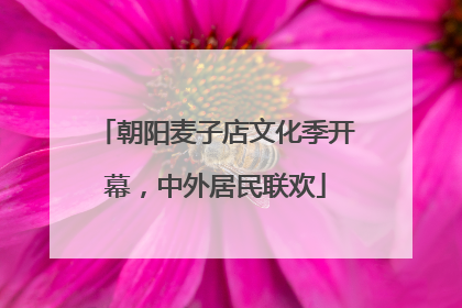 朝阳麦子店文化季开幕，中外居民联欢