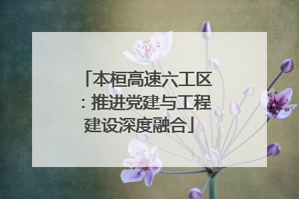 本桓高速六工区：推进党建与工程建设深度融合