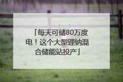 每天可储80万度电！这个大型锂钠混合储能站投产