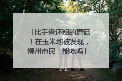 比手臂还粗的蘑菇！在玉米地被发现，柳州市民：能吃吗