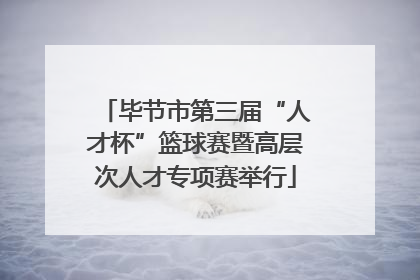 毕节市第三届“人才杯”篮球赛暨高层次人才专项赛举行