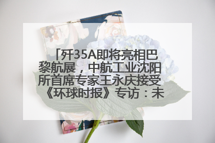 歼35A即将亮相巴黎航展，中航工业沈阳所首席专家王永庆接受《环球时报》专访：未来数量可以有很多
