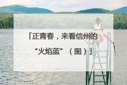 正青春，来看信州的“火焰蓝”（图）