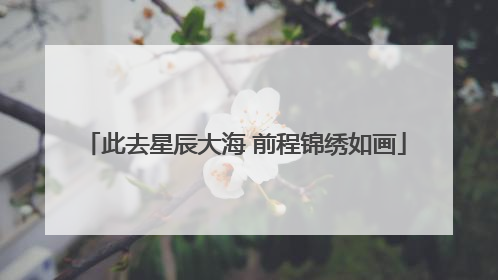此去星辰大海 前程锦绣如画