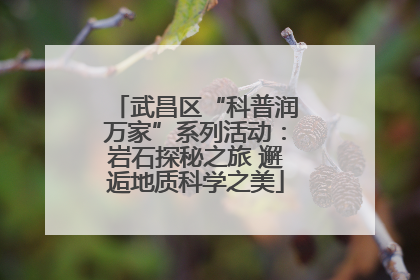 武昌区“科普润万家”系列活动：岩石探秘之旅 邂逅地质科学之美