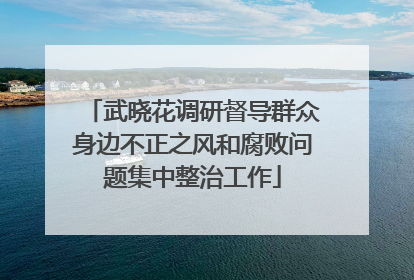 武晓花调研督导群众身边不正之风和腐败问题集中整治工作