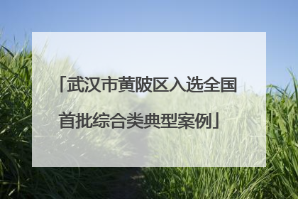 武汉市黄陂区入选全国首批综合类典型案例