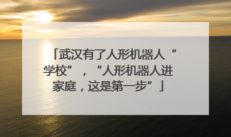 武汉有了人形机器人“学校”，“人形机器人进家庭，这是第一步”