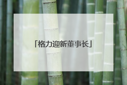 格力迎新董事长