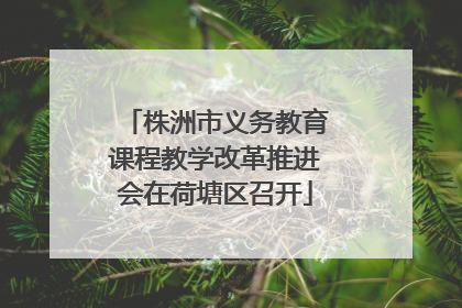 株洲市义务教育课程教学改革推进会在荷塘区召开