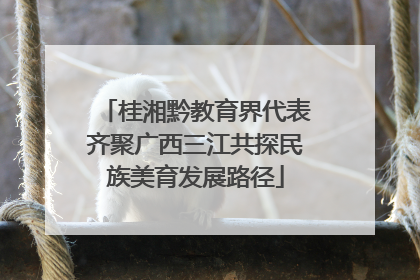桂湘黔教育界代表齐聚广西三江共探民族美育发展路径