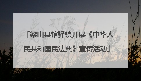 梁山县馆驿镇开展《中华人民共和国民法典》宣传活动