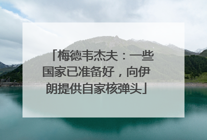 梅德韦杰夫：一些国家已准备好，向伊朗提供自家核弹头