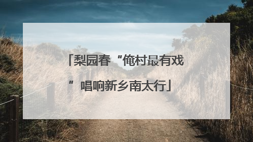 梨园春“俺村最有戏”唱响新乡南太行