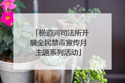 横道河司法所开展全民禁毒宣传月主题系列活动