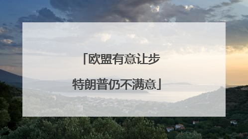 欧盟有意让步 特朗普仍不满意