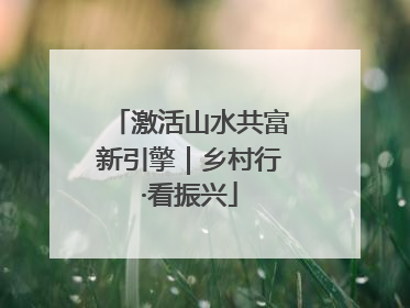 激活山水共富新引擎｜乡村行·看振兴